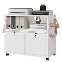 Letaya Mobile 2 Drawer File Cabinet with Lock, Metal Lateral Printer Stand Filing Storage Cabinets with Shelves for Home Office-A4/F4/Letter (White)