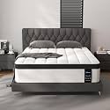 LETMOON 14inch Queen Mattress Hybrid Spring, Medium