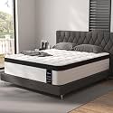 LETMOON 16 Inch Queen Mattress Medium Pocket Spring Hybrid