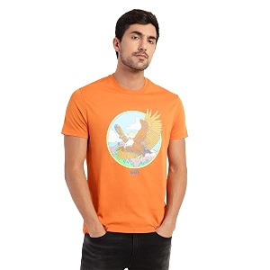 Levis Mens Cotton Regular Fit T-Shirt