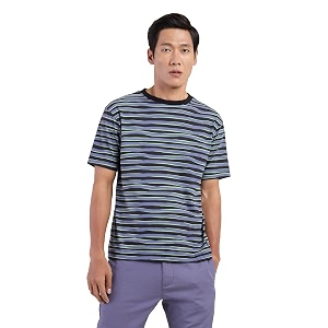 Levis Mens Cotton Relaxed Fit Striped T-Shirt