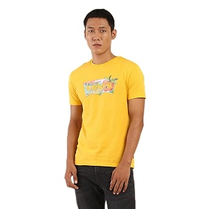 Levis Mens Cotton Regular Fit Graphic T-Shirt