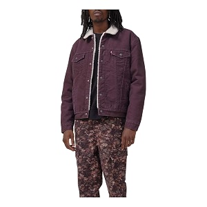 Levis Mens Sherpa Cotton Blend Standard Length