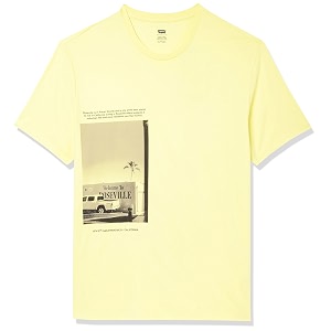 Levis Mens Regular Fit Graphic T-Shirt