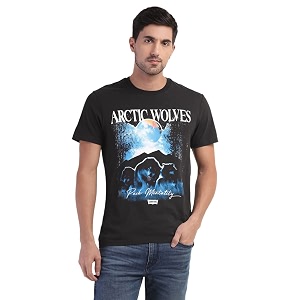 Levis Mens Regular Fit Graphic T-Shirt