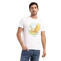 Levi39s Men39s Cotton Regular Fit T-Shirt