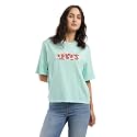 Levi39s Women39s Cotton Oversized Fit T-Shirt