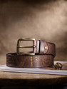 LEVIS Men Casual Brown Genuine Leather Belt