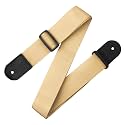 Levy's Leathers 2" Polypropylene Guitar Strap with Polyester Ends and Tri-glide Adjustment