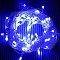 Lexton 9M LED Frosted Direct Light (Blue)