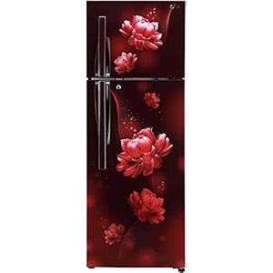lg 308 l 2 star smart inverter frost-free double door refrigerator
