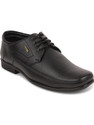 LIBERTY Fortune UVL-134 Formal Lacing Shoes With