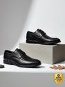 LIBERTY Healers HML-92E Brown Formal Lacing Derby