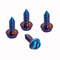 QiqaMole License Plate Screws for Car, Rustproof Stainless Steel Screws, License Plate Bolts, Stainless Fasteners for License Plates with Screwdriver (Blue, 4 PCS)