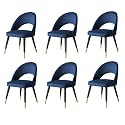 LSGF Open Back Dining Chair Solid Sagwan Wooden Frame with Brushed Brass Foot caps Dining Chair for Dining Room (6 Chairs, Navy)