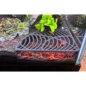 LifeWithPets Aquarium Shrimp Tank Decorations | Corner Shrimp Hide | Shrimp Cave | Breeding Shrimp Hide | Shrimp Tunnel