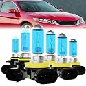 Light Bulbs Fit For Honda Accord 2013-2015, 2008-2012 Coupe, 9005 High Beam + H11 Low Beam + H11 Fog Lights Halogen Bulb, 6000K White Light, Plug and Play, Pack of 6