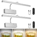 Lightbiz Picture Light 2 Pcs, 15.35inch 5400mAh Rechargeable Picture Lights for Wall Battery Operated Wall Lights, 3 Colors Paintings Light Dimmable Art Light for Artwork, Gallery (Silver)