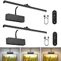 Lightbiz Picture Light 2 Pcs, 15.35inch 5400mAh Rechargeable Picture Lights for Wall Battery Operated Wall Lights, 3 Colors Paintings Light Dimmable Art Light for Artwork, Gallery (Black)