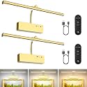 Lightbiz Picture Light 2 Pcs, 15.35inch 5400mAh Rechargeable Picture Lights for Wall Battery Operated Wall Lights, 3 Colors Paintings Light Dimmable Art Light for Artwork, Gallery (Gold)