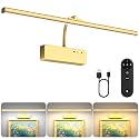 Lightbiz Picture Light, 20inch 6000mAh Rechargeable Picture Lights for Wall Battery Operated Wall Lights with Remote, 3 Colors Paintings Light Dimmable Art Light for Artwork, Gallery (Gold)