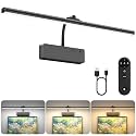 Lightbiz Picture Light, 20inch 6000mAh Rechargeable Picture Lights for Wall Battery Operated Wall Lights, 3 Colors Paintings Light Dimmable Art Light for Artwork, Gallery (Black)