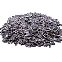 Lightly Sea Salted Sunflower Seed in Shell by Gerbs - 2 LBS - Top 11 Food Allergen Free & Non GMO - Premium Dry Roasted Seeds – COG USA