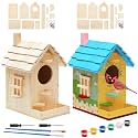 Liliful 2 Pack Wooden Bird House Kits for Kids, Modern Style