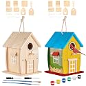 Liliful 2 Pack Wooden Bird House Kits for Kids, Rural Style