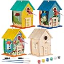 Liliful 4 Pack Wooden Bird House Kits for Kids, Rural Style
