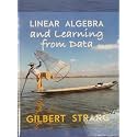 Linear Algebra and Learning from Data