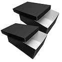 Lineco Archival Photo Card Box, Museum-Quality, 5x8x12 Inch, Black, 2 Pack