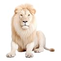 Lion - Life Size Cardboard Cutout Standup People with Support Standee | Animals -2