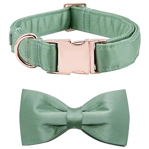 lionet paws bowtie dog collar - comfortable silk green dog collar with detachable bow tie for large dogs neck 16-24 inches