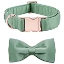 Lionet Paws Bowtie Dog Collar - Comfortable Silk Green Dog Collar with Detachable Bow Tie for Medium Dogs, Neck 13.5-22 Inches