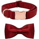 Lionet Paws Dog Collar Bowtie - Comfortable Silk Dog Collar with Detachable Bow Tie for Puppy and Cat Wedding, Neck 8-12 Inches