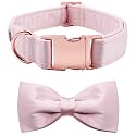 Lionet Paws Bowtie Dog Collar - Comfortable Silk Girl Dog Collar with Detachable Bow Tie for XLarge Dogs, Neck 16-26 Inches