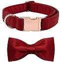 Lionet Paws Dog Collar Bowtie - Comfortable Silk Green Dog Collar with Detachable Bow Tie for Puppy and Cat, Neck 8-12 Inches