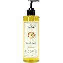 Claya Liquid Castile Soap – Organic Ingredients, Biodegradable, Gentle for Sensitive Skin and Versatile Use (16 fl oz (Pump Cap), Tangerine)