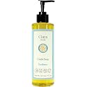 Claya Liquid Castile Soap – Organic Ingredients, Biodegradable, Gentle for Sensitive Skin and Versatile Use (16 fl oz (Pump Cap), Eucalyptus)