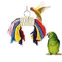 Litewoo Bird Chew Swing Toys Colorful Cotton Rope with Hanging Parrot Bell Toy for Birds Budgie Parakeet Cockatiel