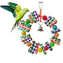 Litewoo Bird Chew Swing Toy with Bell for Parrot Cage