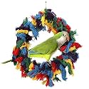Litewoo Bird Parakeet Colorful Swing Toys,Cotton Rope Chew Hanging Bird Preening Garland Swing for Budgie Parakeet Cockatiel Macaw African Grey
