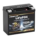 Lithium YTX20L-BS, 800A LiFePO4 Motorcycle Battery, 12V 10AH ATV, UTV, Jet Ski, 4 Wheeler,Snowmobile,Tractor,Generator and Riding Lawn Mower Battery