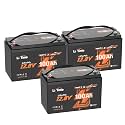 Litime 12V 100Ah LiFePO4 Marine Battery for Electric Outboard Motors(3Pack)