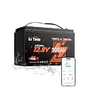 Litime 12V 100Ah Trolling Motor LiFePO4 Battery for Marine, Boat, Yacht