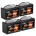 Litime 12V 100Ah Trolling Motor LiFePO4 Battery for Marine, Boat(4 Pack)