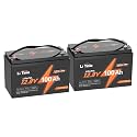 Litime 12V 100Ah Trolling Motor LiFePO4 Battery for Marine, Boat, RV（2Pack）