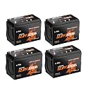 Litime 12V 320Ah ComFlex LiFePO4 Battery for Victron RV-C NMEA 2000-4 Pack
