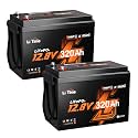 Litime 12V 320Ah Mini LiFePO4 Battery for RV Solar Home Backup-2Pack